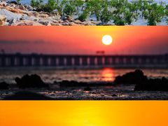 -宝安西湾红树林湿地公园