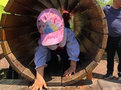 -田园东方蜜桃村的田野营地