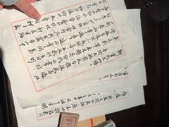 -武汉知音号