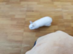 -猫猫幼稚园·撸猫·桌游·电玩