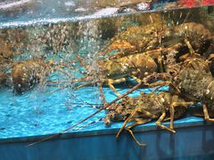 -阿伟海鲜楼·福建菜(延寿店)