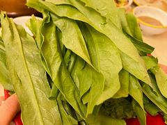 油麦-洞庭洲·防空洞火锅·铜锅涮肉·烧烤(新百广场店)