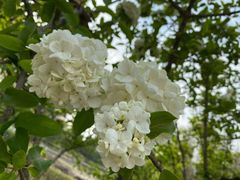 -白塘生态植物园