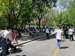 -石家庄市动物园