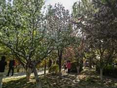 -元大都城垣遗址公园