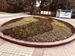 -黄兴公园