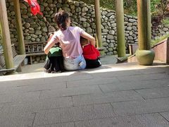 -宁波浙东大竹海景区