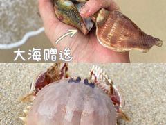 -大梅沙海滨公园