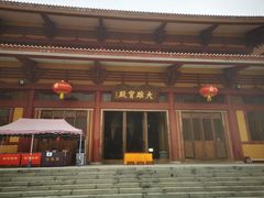 -三水森林公园