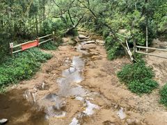 -张钰强中医正骨推拿连锁(唐家人才公寓店)