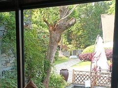 -老房子金沙元年川菜食府·花园餐厅(金沙店)