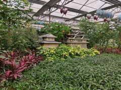 -南宫五洲植物乐园