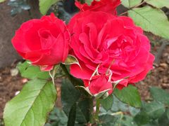 -人民公园(罗湖区)