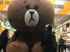 -line friends(明洞旗舰店)