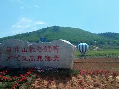 -金石滩蓝莓谷庄园