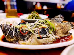 豉蒸南海大龙胆-必点海鲜·鲅鱼水饺(鞍山西道店)