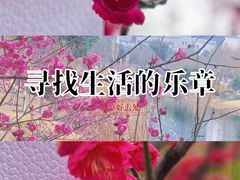 -西北湖绿化广场