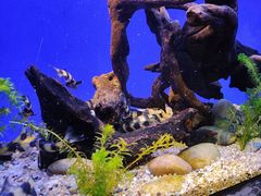-上海海洋水族馆