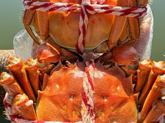 -七的湖·江南蟹舫·阳澄湖农家菜(蟹舫苑店)