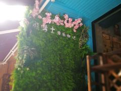 -考拉拉音乐酒吧