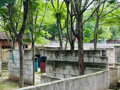 -东湖小天池真人CS彩弹野战基地