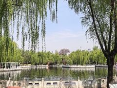 -丰台花园