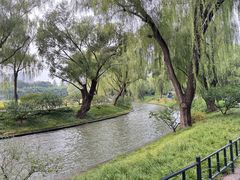 -皇家御河游(紫御湾码头)