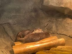 -Zoolung Zoolung动物主题公园(海信广场店)