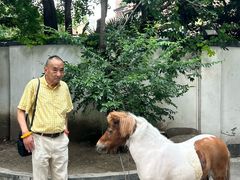 -和平官邸·花园餐厅(武定西路店)