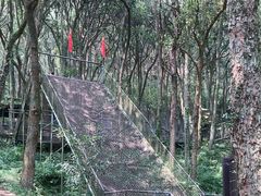 -富春桃源风景区