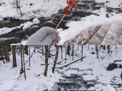 -峡谷浮石林景区