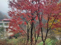 -燕子河大峡谷天坑仙境