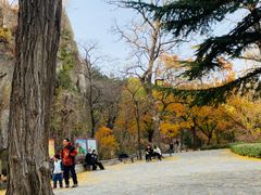 -北京鹫峰国家森林公园