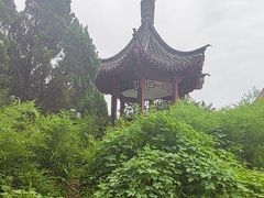 -西苑公园