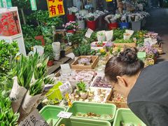 -循礼门鲜花花市(武汉循礼门店)