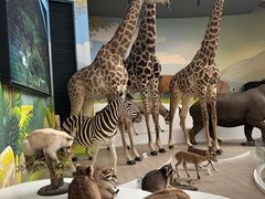 -陕西自然博物馆