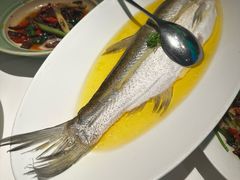 鸡汁浪里白条-桂满陇·杭州饭店(清河万象店)