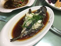 清蒸青斑鱼-鑫悦楼煎蟹·16年海鲜大排档