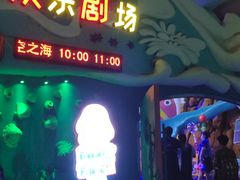 -烟台海昌鲸鲨海洋公园