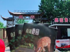 -武清南湖绿博园