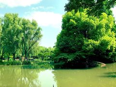 -洛阳市隋唐城遗址植物园