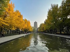 -玲珑塔公园