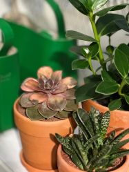 -Hair Co.一间沙龙