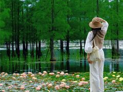 -白鹭湾湿地公园