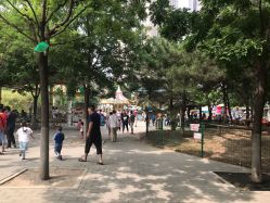 -大望京儿童游乐场