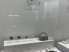 -贝壳王国博物馆