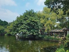-荔湾湖公园