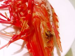 -金苑海鲜酒家(来魅力店)