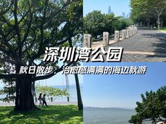 -深圳湾公园(南山区)