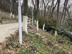 -九华山公园